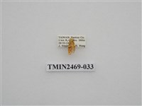 藏品(梯紋豔苔蛾)的圖片